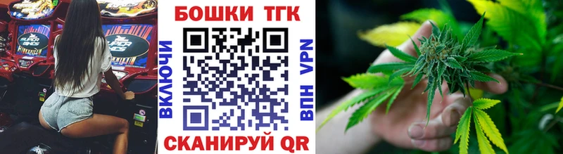Купить закладки  Качканар  Канабис сатива 